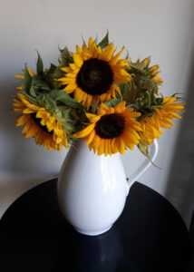 Sunflowers-7