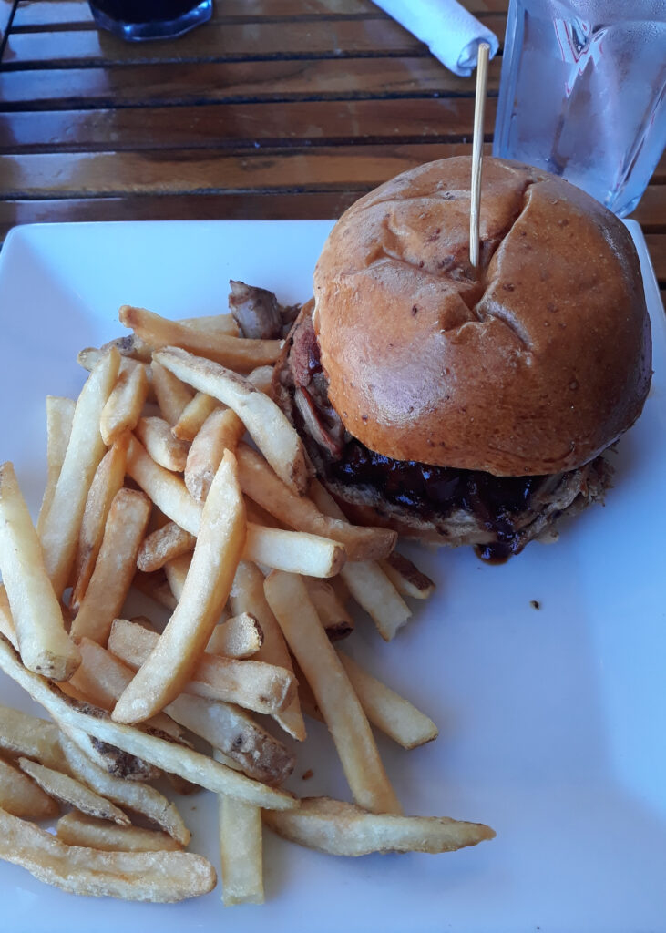 Pulled pork sandwich and fries